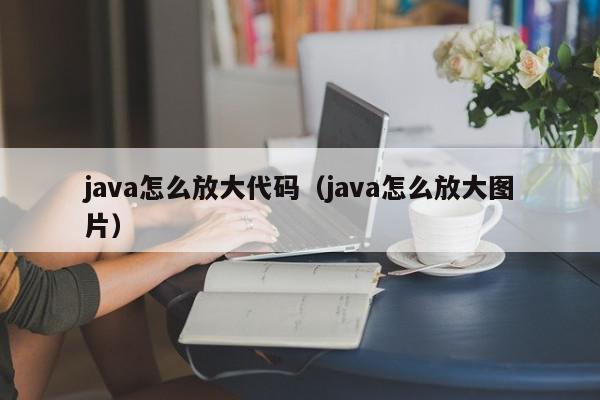 java怎么放大代码（java怎么放大图片）