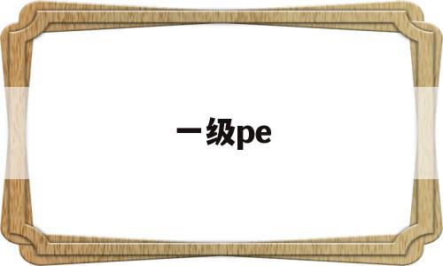 一级pe(一级胚胎是什么意思)