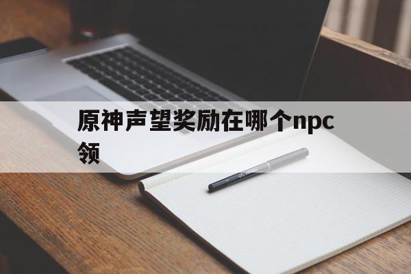 原神声望奖励在哪个npc领(盘牙水库npc修装备要什么声望)