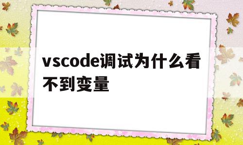 vscode调试为什么看不到变量(vscode 调试控制台不显示输出)