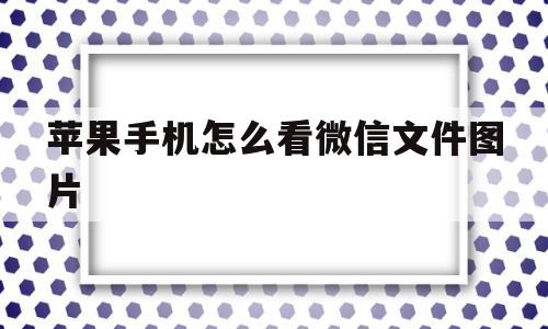 苹果手机怎么看微信文件图片(苹果手机怎么查看微信里面的图片),苹果手机怎么看微信文件图片(苹果手机怎么查看微信里面的图片),苹果手机怎么看微信文件图片,信息,账号,微信,第1张