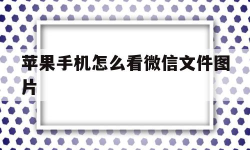 苹果手机怎么看微信文件图片(苹果手机怎么查看微信里面的图片)