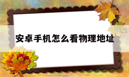 安卓手机怎么看物理地址(安卓手机怎么看无线局域网地址),安卓手机怎么看物理地址(安卓手机怎么看无线局域网地址),安卓手机怎么看物理地址,信息,安卓,苹果,第1张