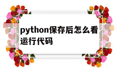 python保存后怎么看运行代码(python保存后怎么看运行代码信息)