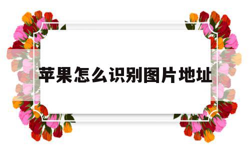 苹果怎么识别图片地址(苹果根据图片识别位置地点),苹果怎么识别图片地址(苹果根据图片识别位置地点),苹果怎么识别图片地址,信息,微信,APP,第1张