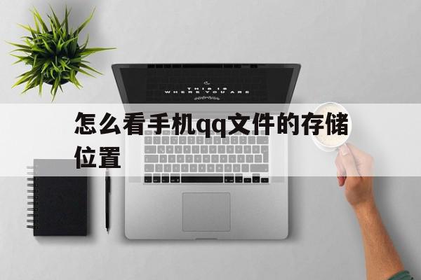 怎么看手机qq文件的存储位置(如何查看手机文件)