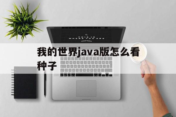 我的世界java版怎么看种子(我的世界java版的种子在手机版能用吗)