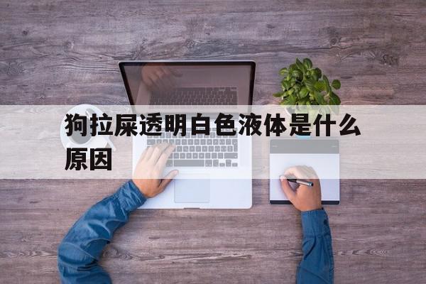 狗拉屎透明白色液体是什么原因(狗拉屎透明白色液体是什么原因呢),狗拉屎透明白色液体是什么原因(狗拉屎透明白色液体是什么原因呢),狗拉屎透明白色液体是什么原因,第1张