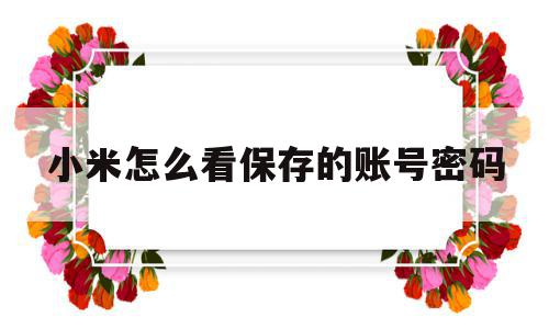 小米怎么看保存的账号密码(小米怎么看保存的账号密码是多少),小米怎么看保存的账号密码(小米怎么看保存的账号密码是多少),小米怎么看保存的账号密码,信息,账号,浏览器,第1张