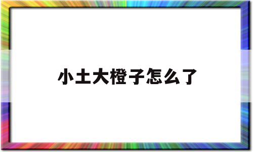 小土大橙子怎么了(大土 小橘)