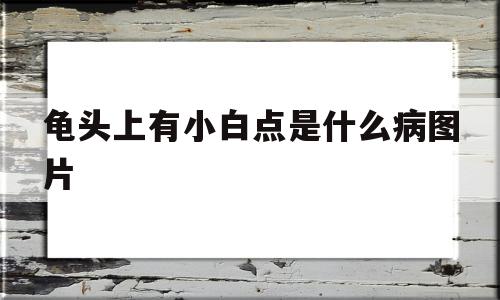 关于龟头上有小白点是什么病图片的信息