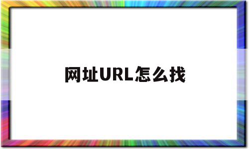 网址URL怎么找(网址url地址怎么查)