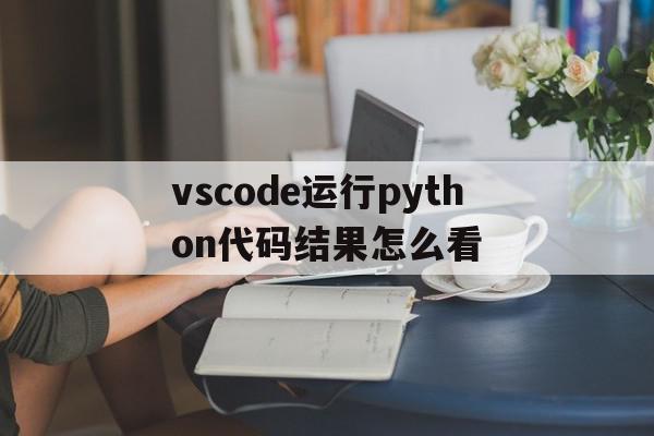 vscode运行python代码结果怎么看(vscode怎样运行python),vscode运行python代码结果怎么看(vscode怎样运行python),vscode运行python代码结果怎么看,信息,视频,浏览器,第1张