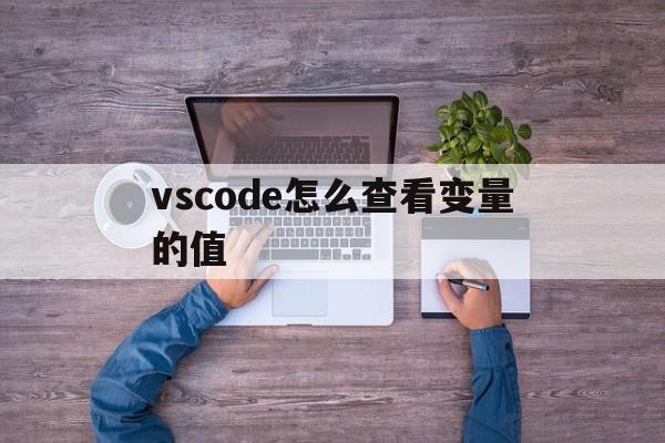 vscode怎么查看变量的值(vscode 变量查看器)