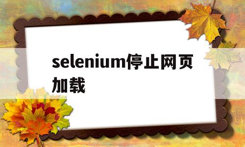 selenium停止网页加载(selenium暂停),selenium停止网页加载(selenium暂停),selenium停止网页加载,信息,账号,浏览器,第1张