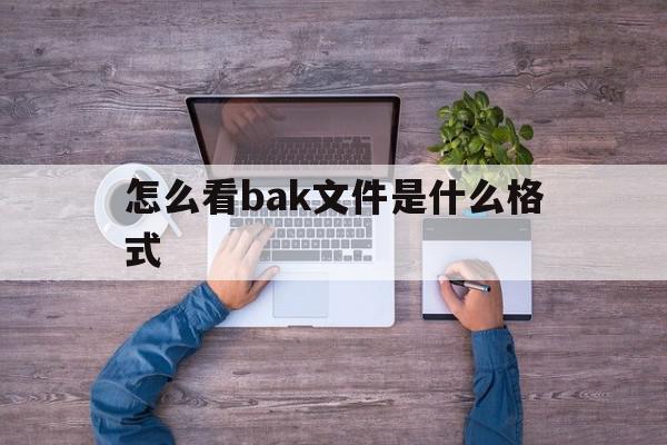 怎么看bak文件是什么格式(bak文件在哪),怎么看bak文件是什么格式,信息,文章,绿色,第1张 怎么看bak文件是什么格式(bak文件在哪),怎么看bak文件是什么格式(bak文件在哪),怎么看bak文件是什么格式,信息,文章,绿色,第1张