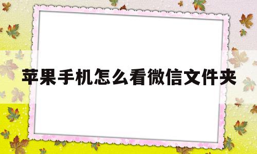 苹果手机怎么看微信文件夹(苹果手机怎么看微信的文件),苹果手机怎么看微信文件夹(苹果手机怎么看微信的文件),苹果手机怎么看微信文件夹,视频,微信,苹果,第1张