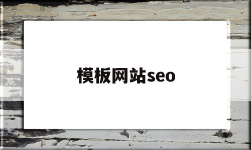 模板网站seo(模板网站seo效果)