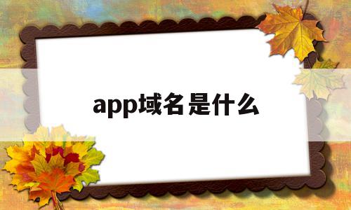 app域名是什么(app域名查询软件),app域名是什么,百度,APP,浏览器,第1张 app域名是什么(app域名查询软件),app域名是什么(app域名查询软件),app域名是什么,百度,APP,浏览器,第1张