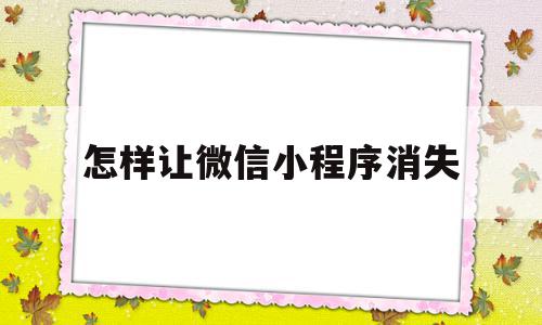 怎样让微信小程序消失(怎样让微信小程序消失掉)