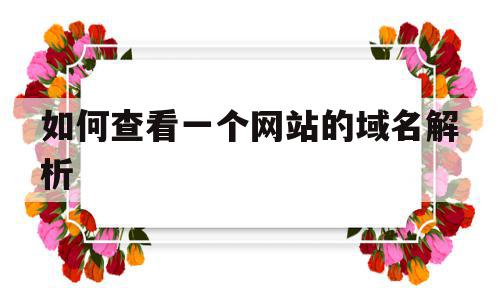 如何查看一个网站的域名解析(如何查看一个网站的域名解析信息),如何查看一个网站的域名解析(如何查看一个网站的域名解析信息),如何查看一个网站的域名解析,信息,百度,浏览器,第1张