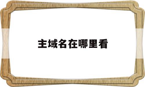 主域名在哪里看(域名中的主机名怎么看)