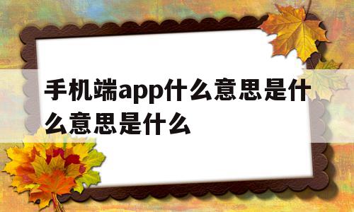 手机端app什么意思是什么意思是什么的简单介绍,手机端app什么意思是什么意思是什么的简单介绍,手机端app什么意思是什么意思是什么,百度,微信,APP,第1张