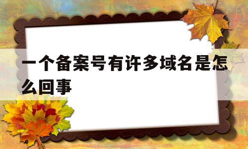 一个备案号有许多域名是怎么回事(备案中的域名能用在其他空间上面吗)