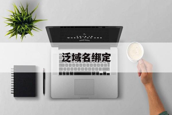 泛域名绑定(泛域名解析原理),泛域名绑定(泛域名解析原理),泛域名绑定,第1张