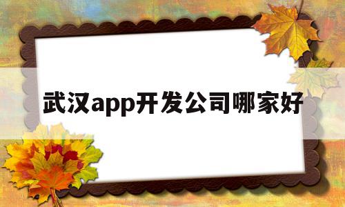 武汉app开发公司哪家好(武汉软件开发公司都分布哪里),武汉app开发公司哪家好(武汉软件开发公司都分布哪里),武汉app开发公司哪家好,视频,APP,模板,第1张