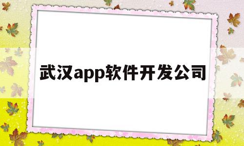 武汉app软件开发公司(武汉排名靠前的软件开发公司),武汉app软件开发公司,源码,微信,APP,第1张 武汉app软件开发公司(武汉排名靠前的软件开发公司),武汉app软件开发公司(武汉排名靠前的软件开发公司),武汉app软件开发公司,源码,微信,APP,第1张