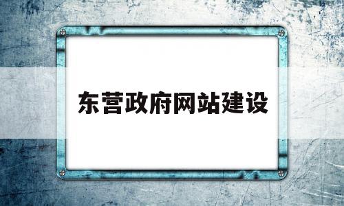 东营政府网站建设(东营政府网站建设招标)