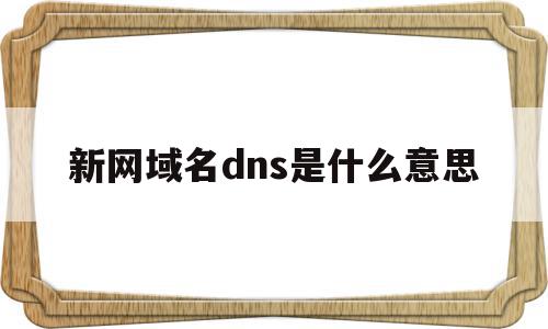 新网域名dns是什么意思(新网域名dns是什么意思啊)