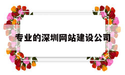 专业的深圳网站建设公司的简单介绍,专业的深圳网站建设公司的简单介绍,专业的深圳网站建设公司,信息,微信,模板,第1张
