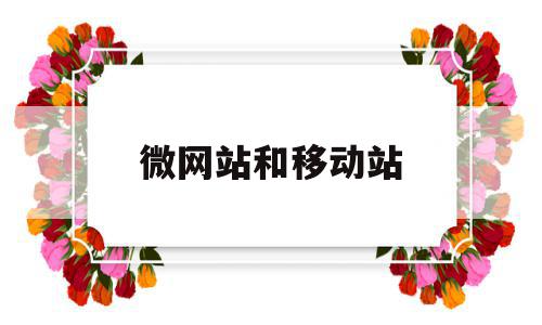 微网站和移动站(移动宏站与微站区别),微网站和移动站,信息,百度,账号,第1张 微网站和移动站(移动宏站与微站区别),微网站和移动站(移动宏站与微站区别),微网站和移动站,信息,百度,账号,第1张