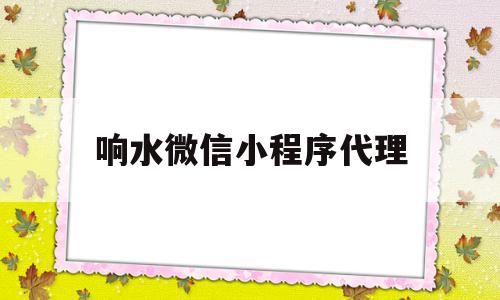 包含响水微信小程序代理的词条