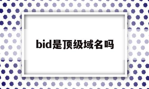 bid是顶级域名吗(顶级域名biz表示什么)