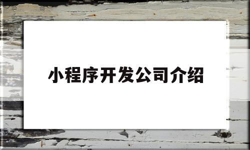 小程序开发公司介绍(小程序开发公司介绍文案),小程序开发公司介绍(小程序开发公司介绍文案),小程序开发公司介绍,信息,视频,百度,第1张