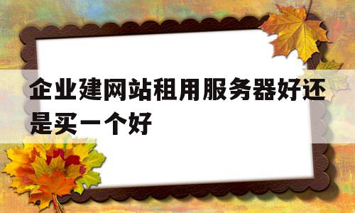 企业建网站租用服务器好还是买一个好的简单介绍