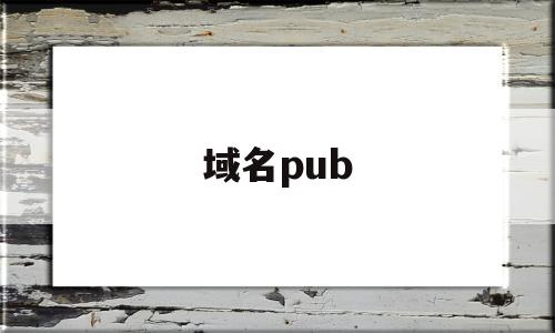 域名pub(域名普通接入)