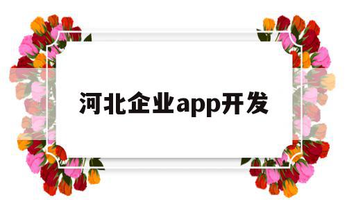 河北企业app开发(河北企业app开发公司)