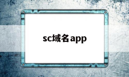 sc域名app(com与cn的域名有什么区别)