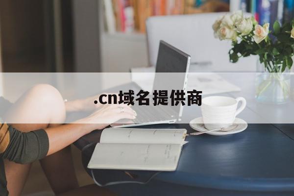 .cn域名提供商(域名 com cn)