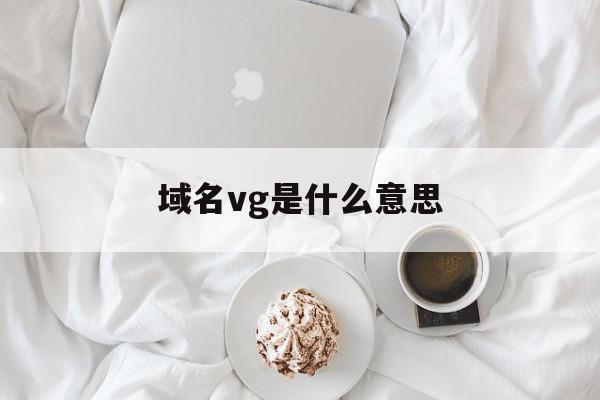 域名vg是什么意思(域名中gov是什么意思)