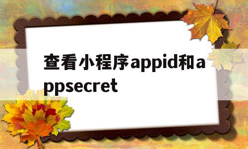 查看小程序appid和appsecret的简单介绍,查看小程序appid和appsecret,信息,文章,视频,第1张 查看小程序appid和appsecret的简单介绍,查看小程序appid和appsecret的简单介绍,查看小程序appid和appsecret,信息,文章,视频,第1张