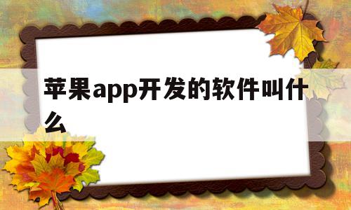 苹果app开发的软件叫什么(苹果app开发的软件叫什么软件)