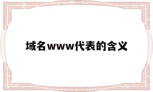 关于域名www代表的含义的信息