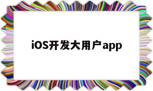 iOS开发大用户app(开发ios app用什么软件)