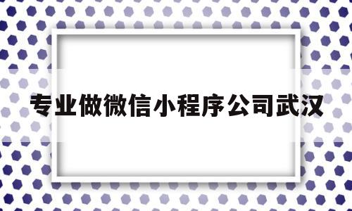 专业做微信小程序公司武汉(专业做微信小程序公司武汉有几家),专业做微信小程序公司武汉,信息,视频,百度,第1张 专业做微信小程序公司武汉(专业做微信小程序公司武汉有几家),专业做微信小程序公司武汉(专业做微信小程序公司武汉有几家),专业做微信小程序公司武汉,信息,视频,百度,第1张