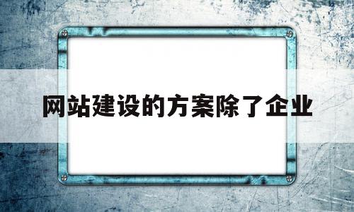 网站建设的方案除了企业(网站建设的方案除了企业还有哪些),网站建设的方案除了企业(网站建设的方案除了企业还有哪些),网站建设的方案除了企业,信息,营销,科技,第1张